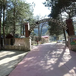 https://hotel-hamiti-llogara.albaniahotels.org