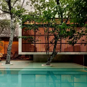 Villa Jungle Keva & Venue